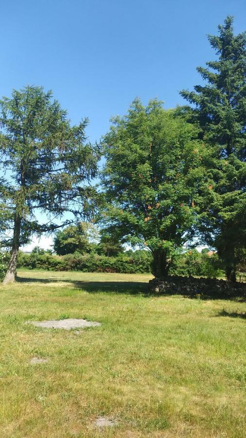 ボルンUrlaub Bei Hauensteinアパートメント エクステリア 写真